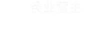 主营业务